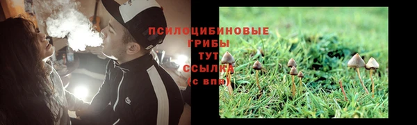 гидра Алзамай