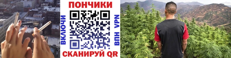 Бошки марихуана сатива  Ачхой-Мартан 